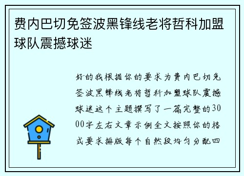费内巴切免签波黑锋线老将哲科加盟球队震撼球迷
